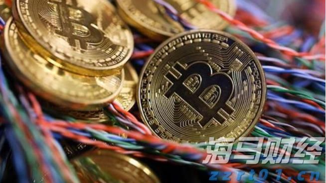 桂平市举行金田淮山丰收节暨农副产品产销对接活动