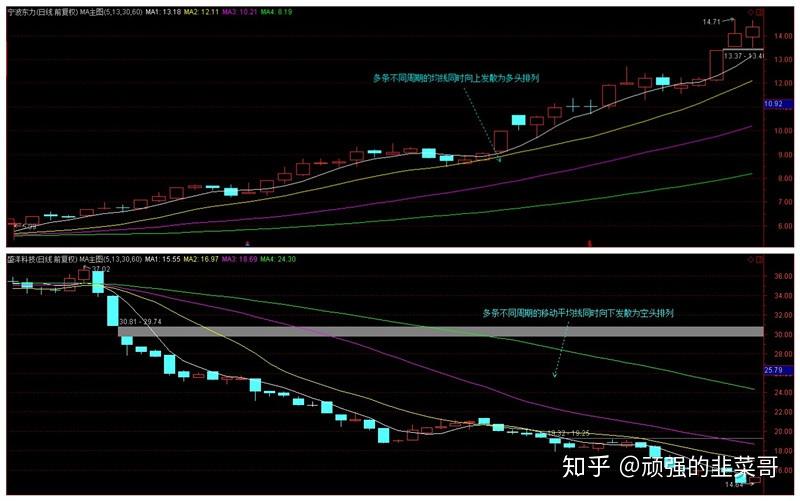 我市扎实推进青少年体育赛事选拔与后备人才储备工作